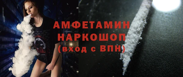 прущие грибы Абинск