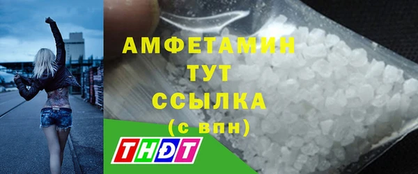 прущие грибы Абинск