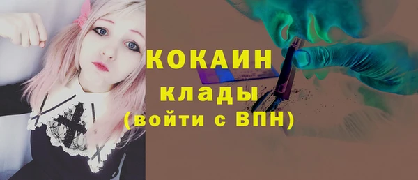 прущие грибы Абинск