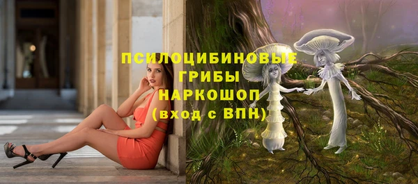 прущие грибы Абинск
