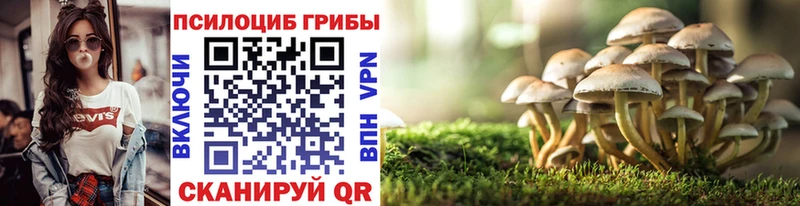 Галлюциногенные грибы MAGIC MUSHROOMS  MEGA как войти  Кизилюрт  где можно купить наркотик 