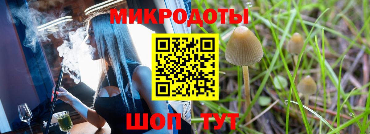 Кизилюрт  Псилоцибиновые грибы мухоморы  Вход с VPN 