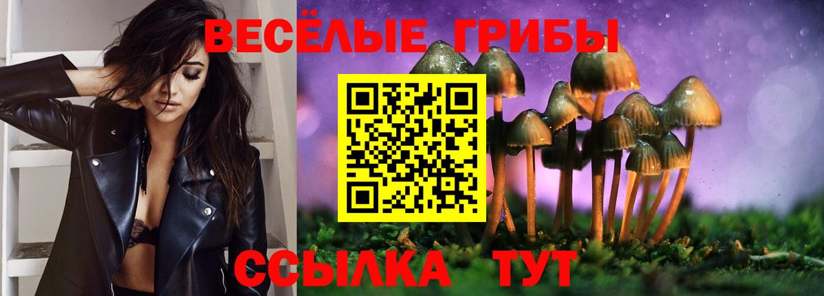 Псилоцибиновые грибы Cubensis Кизилюрт