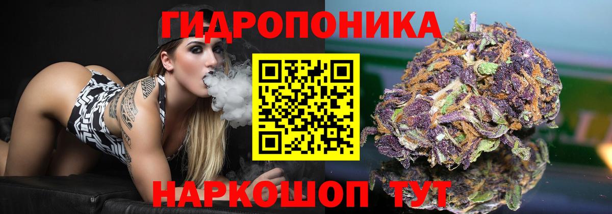Кизилюрт  МАРИХУАНА конопля  Вход с VPN  Бошки марихуана план  Марихуана тримм 